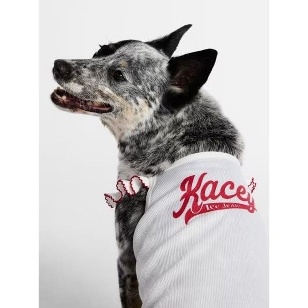 Kacey Lee Ruffled Spaghetti Strap Pet Tee for Cats and Dogs, Large - 25- 45 Lbs